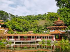 -深圳仙湖植物园