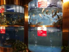 -蜀滋香鲜鱼美蛙火锅(339店)