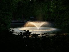 -井之头恩赐公园