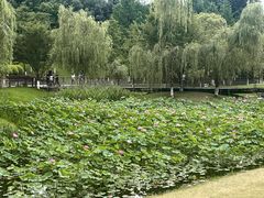 -沐仙湖湿地公园