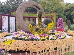 -上海共青森林公园