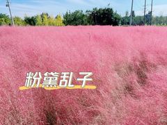 -中国唐苑