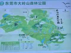 -东莞市大岭山森林公园