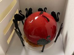 -BLACKSWAN黑天鹅(环球店)
