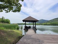 -长广溪湿地公园