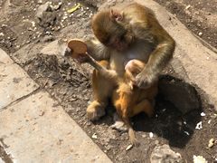 -黔灵山公园-南门售票处