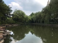 -瀛洲公园