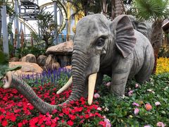 -七彩云南欢乐世界