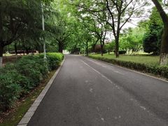 -白塘生态植物园