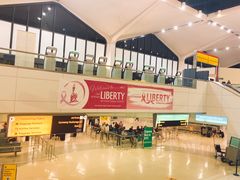 -纽瓦克自由国际机场