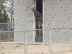 -石家庄市动物园