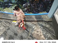 -成都浩海立方海洋公园