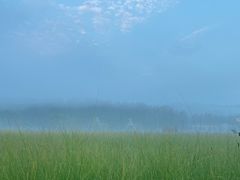 -塞罕坝国家级自然保护区