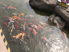 -江宁织造博物馆