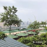从轻轨穿楼到二厂文创公园丨渝中区文艺之旅1日游打卡攻略
