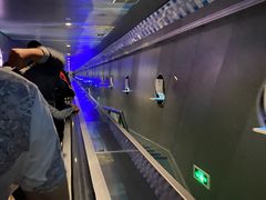 -白鹤梁水下博物馆