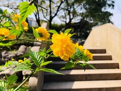 -常熟方塔园