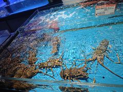 -徐记海鲜(大雁塔|金都店)