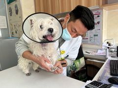 -康乐宝动物医院