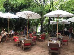 -Fern Forest Cafe