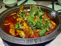 -黔渔翁豆花渎鱼(喷水池店)