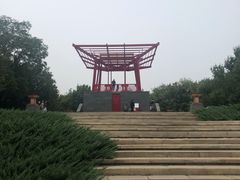 -大望京公园