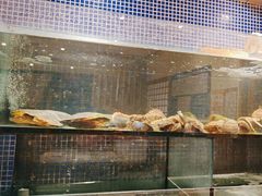 -万鱼亭 日本料理(无锡香山名园店)