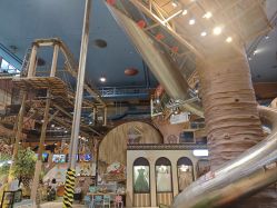 -卡通尼·Safari非洲探索乐园·生日会(金桥国际商业广场店)