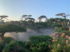 -罗红摄影艺术馆