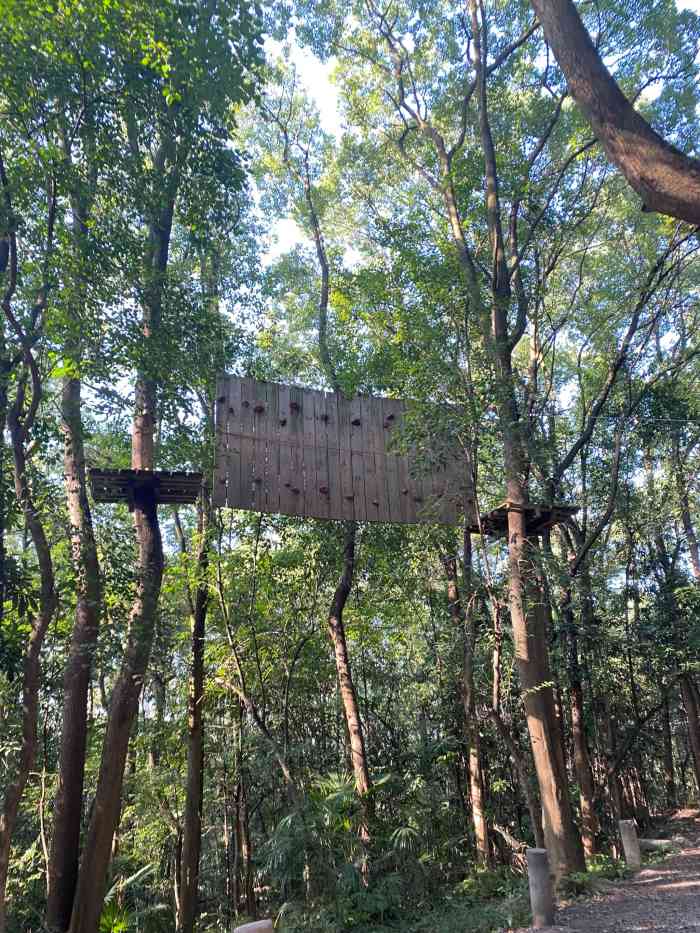 重庆飞越丛林探险乐园(歌乐山园区)-"很早以前就在网上推荐丛林飞跃