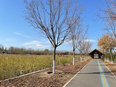 -永定河休闲森林公园