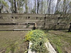 游乐设施-溱湖国家湿地公园