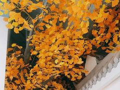 -食悦江南·淮扬菜·烤鸭(亚运村·惠新店)