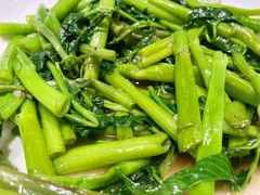 临高空心菜-琼菜王(南海店)