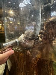 -Zoolung Zoolung动物主题公园(海信广场店)