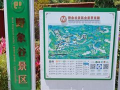 -野象谷景区