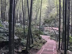 -蜀南竹海景区