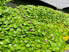 -大连植物园