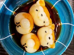 -逗柴咖啡屋·狗咖猫咖宠物桌游