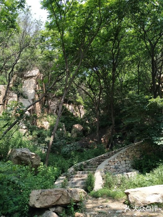 雙龍山森林公園-圖片-北京景點/周邊遊-大眾點評網