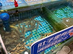 -双合园·海鲜水饺青岛菜(万佳广场店)