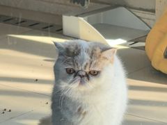 -锦府园·杭州小馆·创意杭帮菜(湖滨银泰in77店)