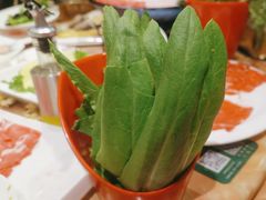 -清真军邺·金富苑肥牛(石坡街旗舰店)