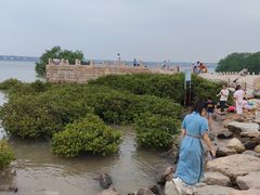 -宝安西湾红树林湿地公园