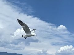 -丽江泸沽湖景区