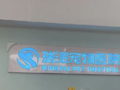 -瑞派紫金宠物医院24小时·骨科·中兽医·重症转诊中心(番禺大石院)