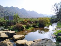-中国茶叶博物馆(双峰馆区)