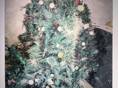 -上海宝龙美术馆