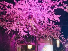 -韵秋荷(宝山龙湖天街店)