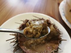 鲜海胆-海胆小馆(东北水饺·春柳店)